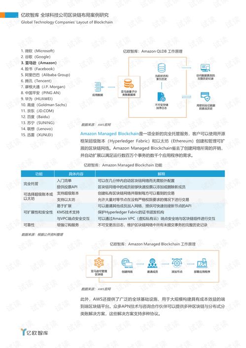 不畏浮云遮望眼 全球科技巨头区块链布局案例研究